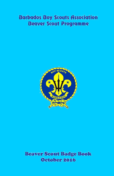 New Beaver Scout Programme Launched