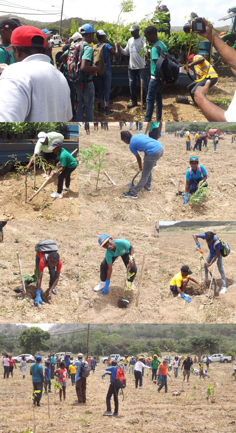 Barbadian Scouts continue planting Trees for the World