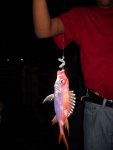 Bridgetown District Scout Fishing Activity 2012